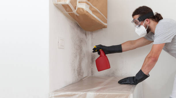 Professional Attic Mold Removal technician working in Island Park, NY